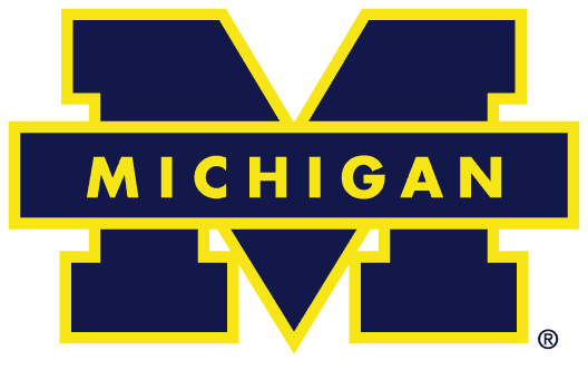 Michigan Wolverines 1988-1996 Primary Logo DIY iron on transfer (heat transfer)
